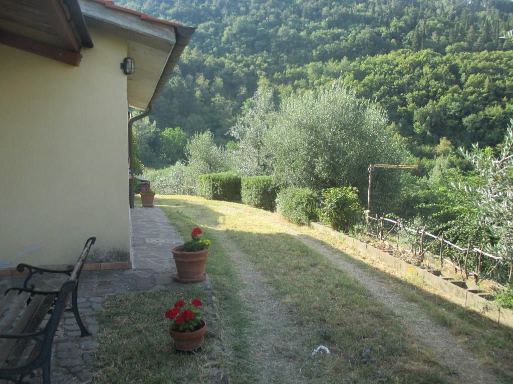 immagine annuncio 5 di 6