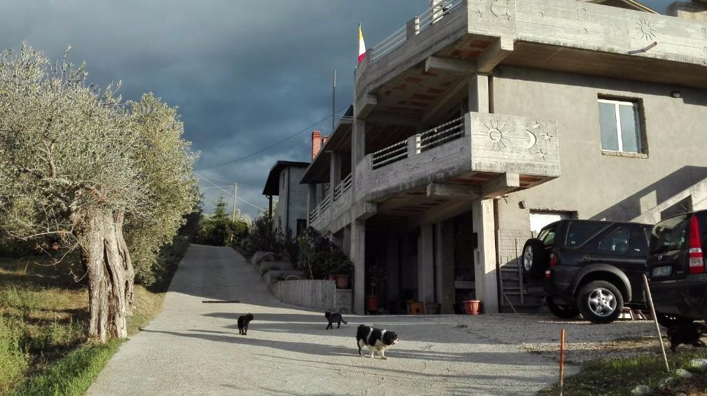 immagine annuncio 1 di 4