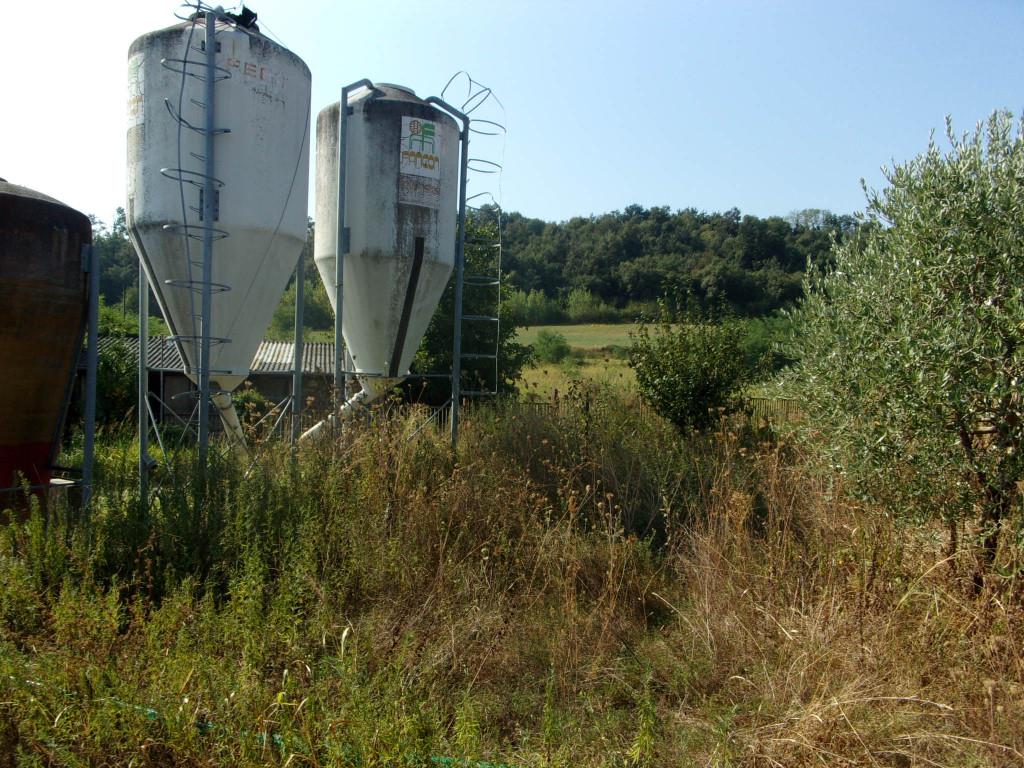 immagine annuncio 5 di 7