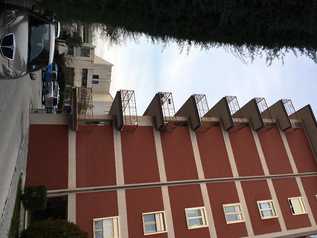 immagine annuncio 5 di 7