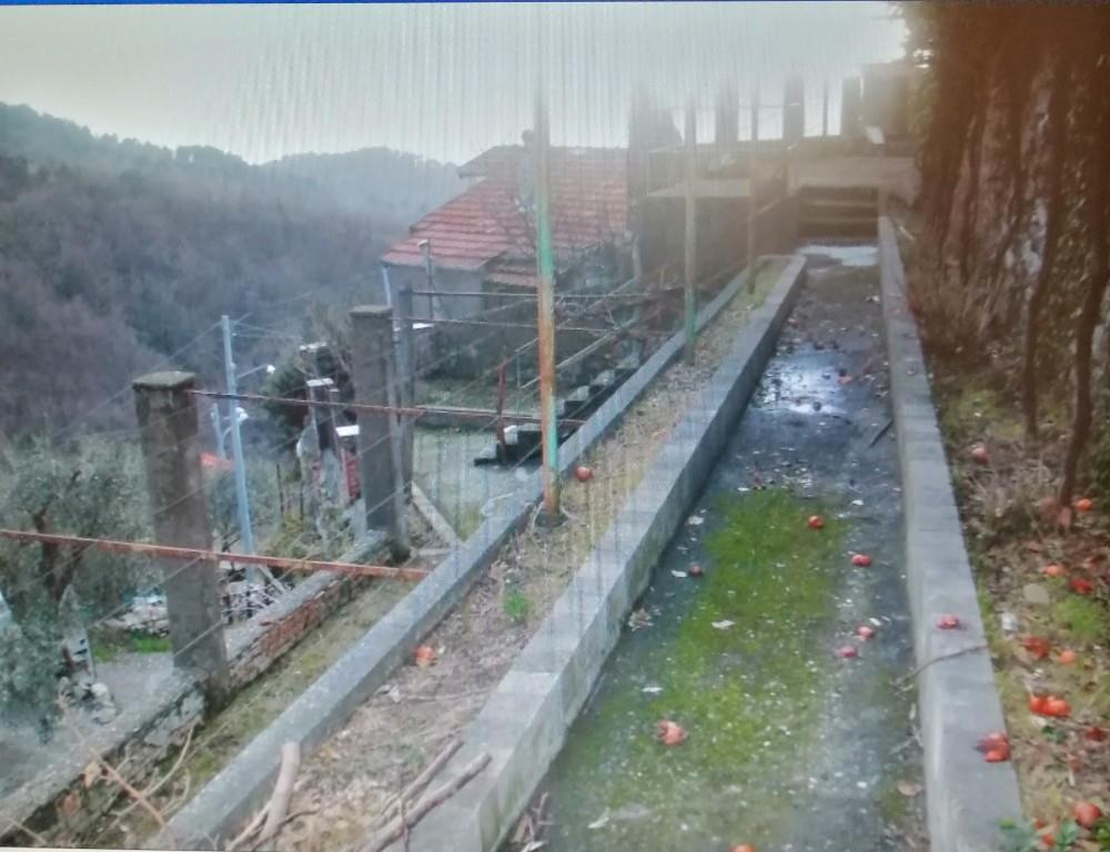 immagine annuncio 5 di 7