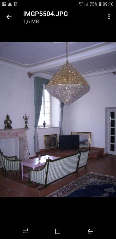 immagine annuncio 5 di 6