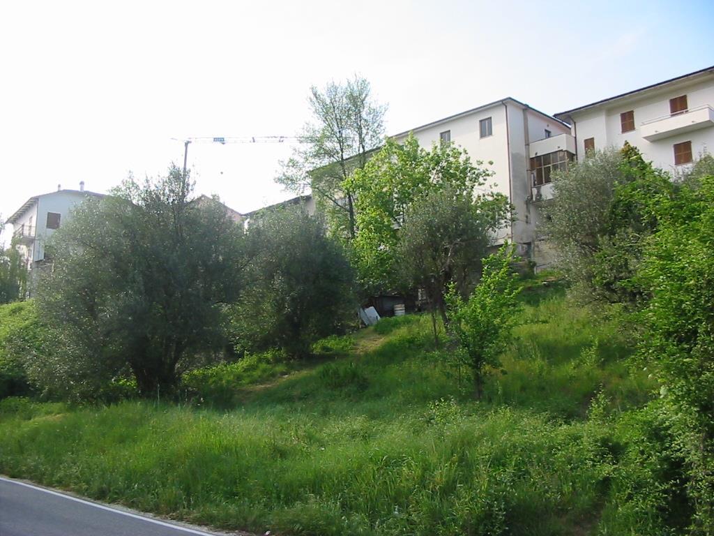 immagine annuncio 1 di 7