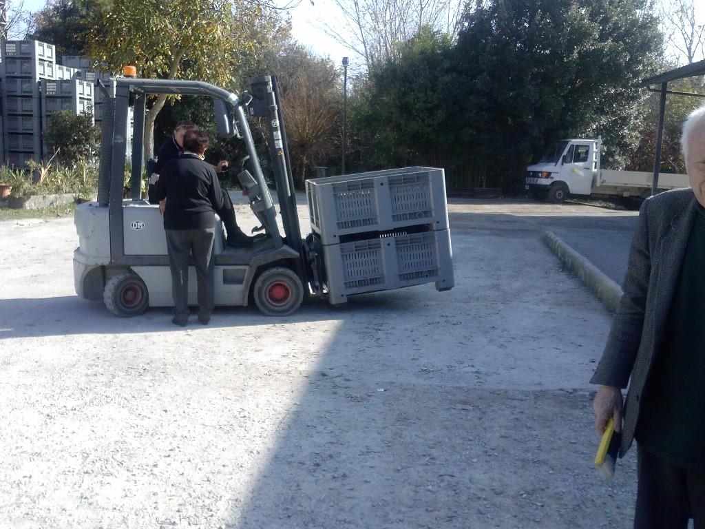 immagine annuncio 3 di 5