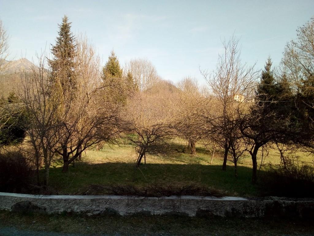 immagine annuncio 6 di 7