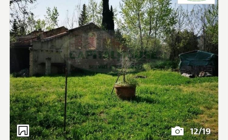 immagine annuncio 2 di 3