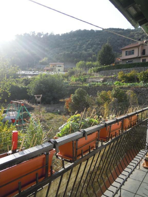 immagine annuncio 6 di 7
