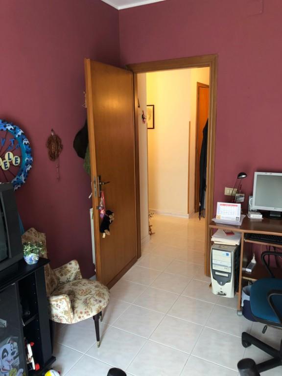 immagine annuncio 5 di 6