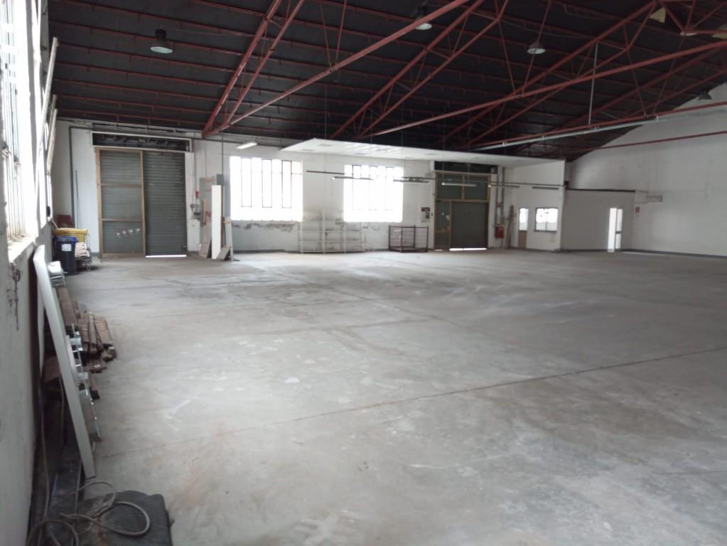 immagine annuncio 2 di 4