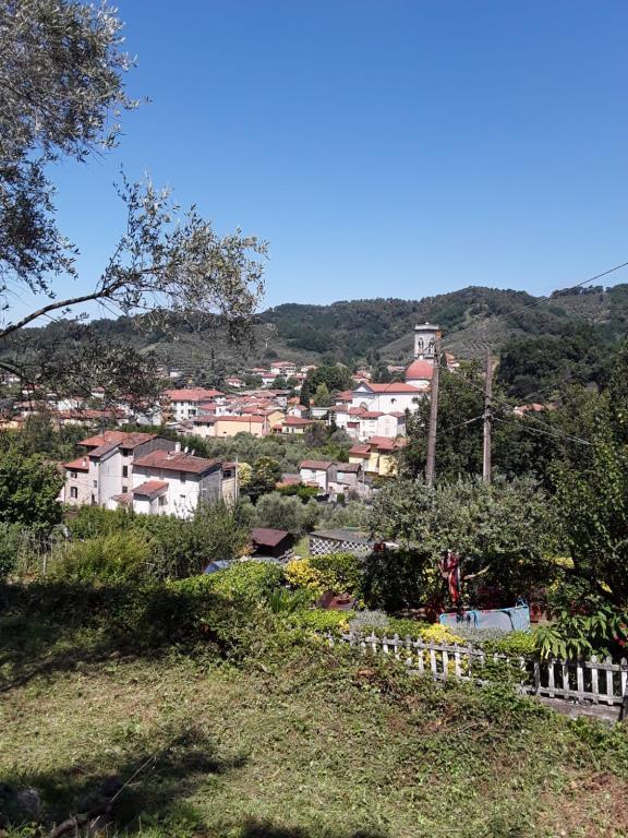 immagine annuncio 1 di 7