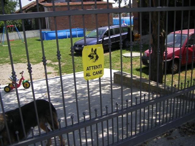 immagine annuncio 1 di 2
