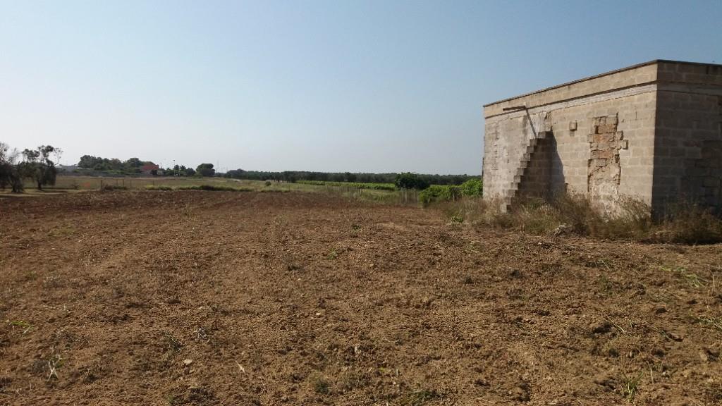 immagine annuncio 1 di 6