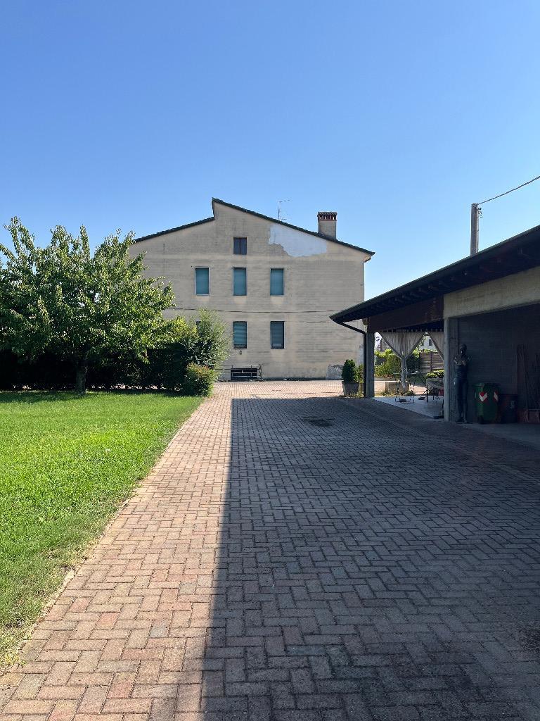 immagine annuncio 4 di 7
