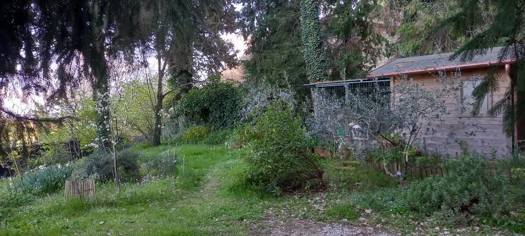 immagine annuncio 2 di 7