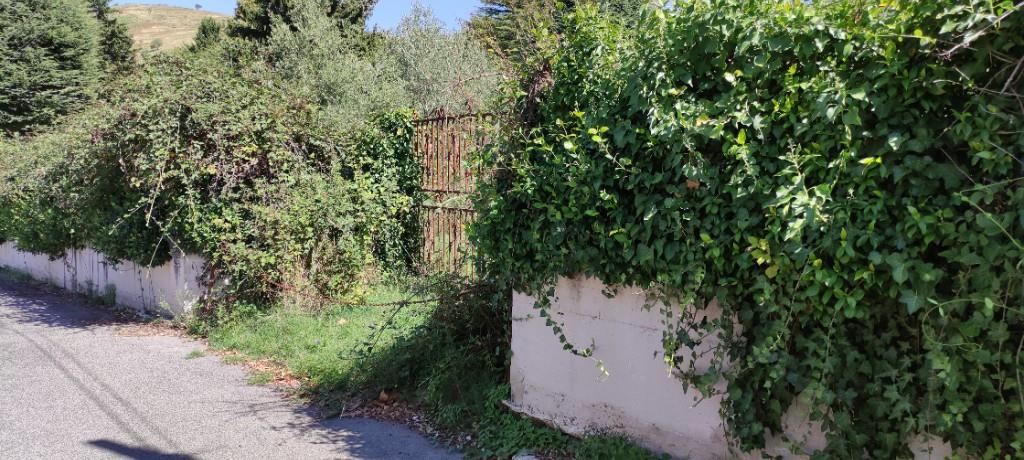 immagine annuncio 5 di 6