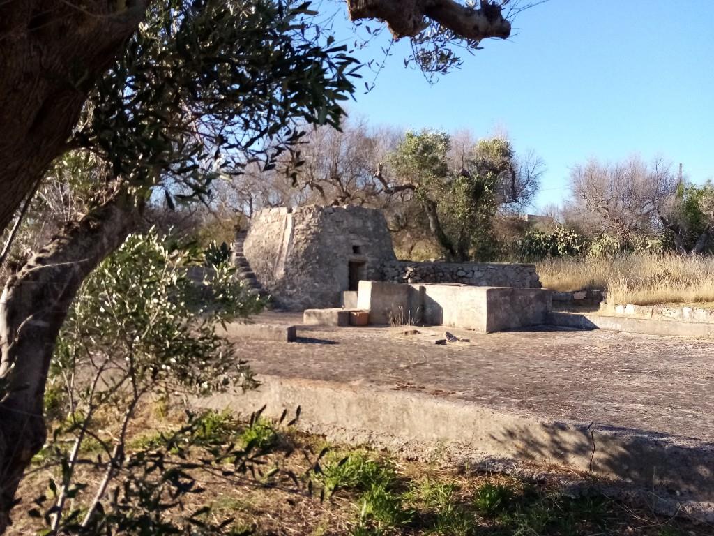 immagine annuncio 4 di 7