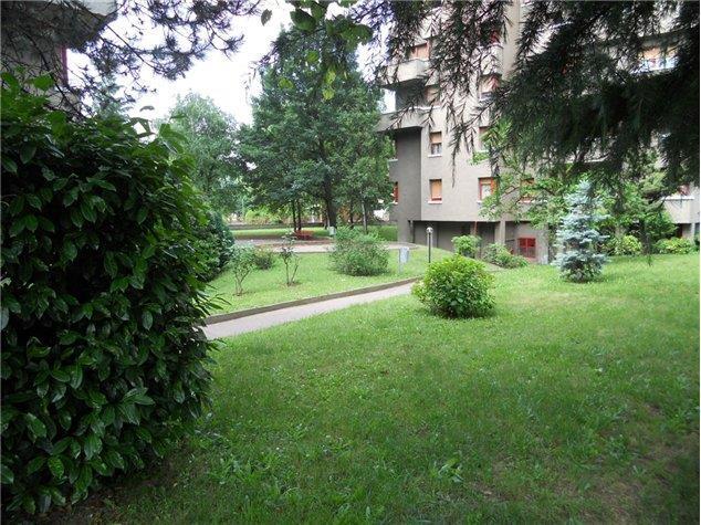 immagine annuncio 6 di 7