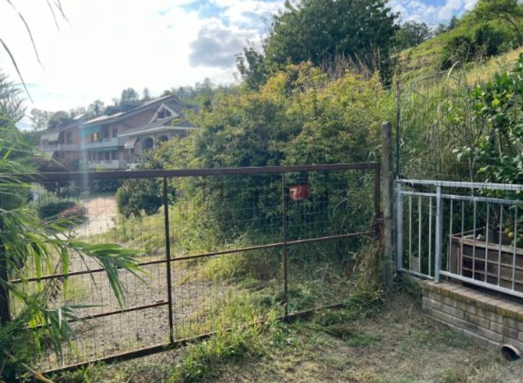 immagine annuncio 1 di 7