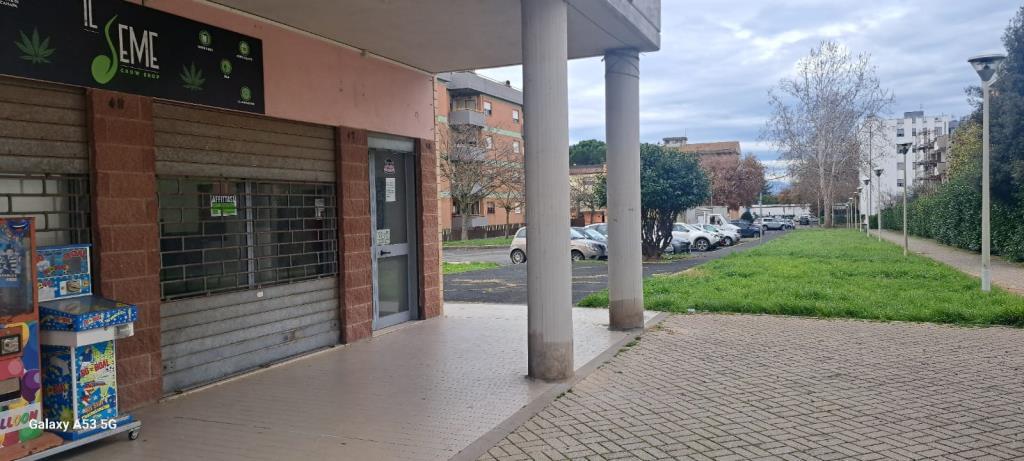 immagine annuncio 1 di 4