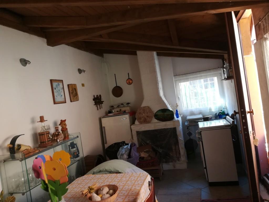 immagine annuncio 4 di 7