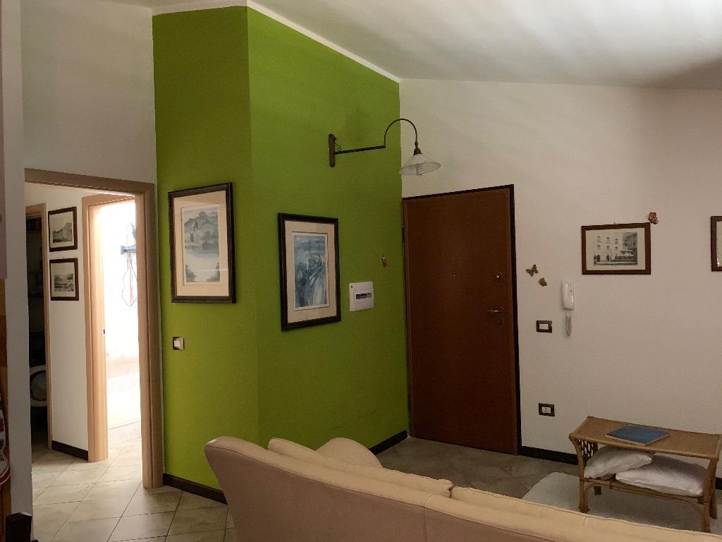 immagine annuncio 5 di 7