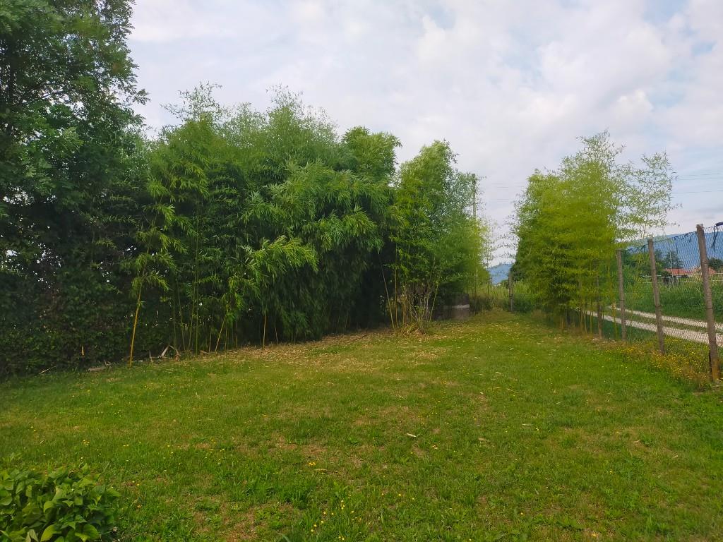 immagine annuncio 5 di 7