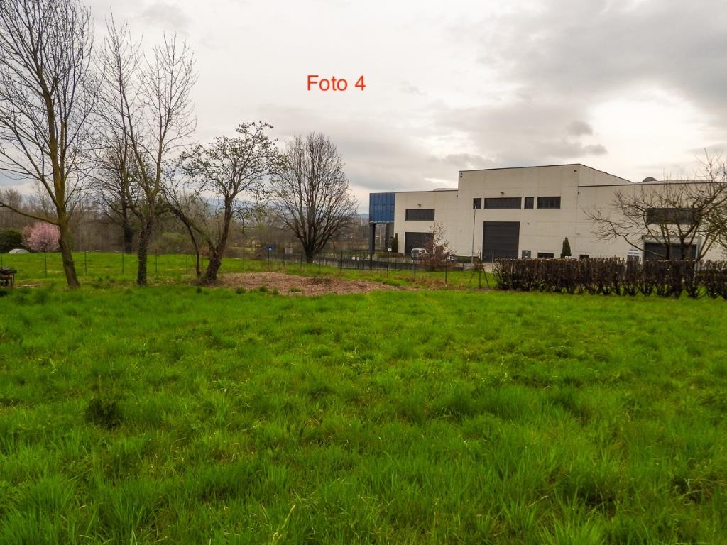 immagine annuncio 4 di 7