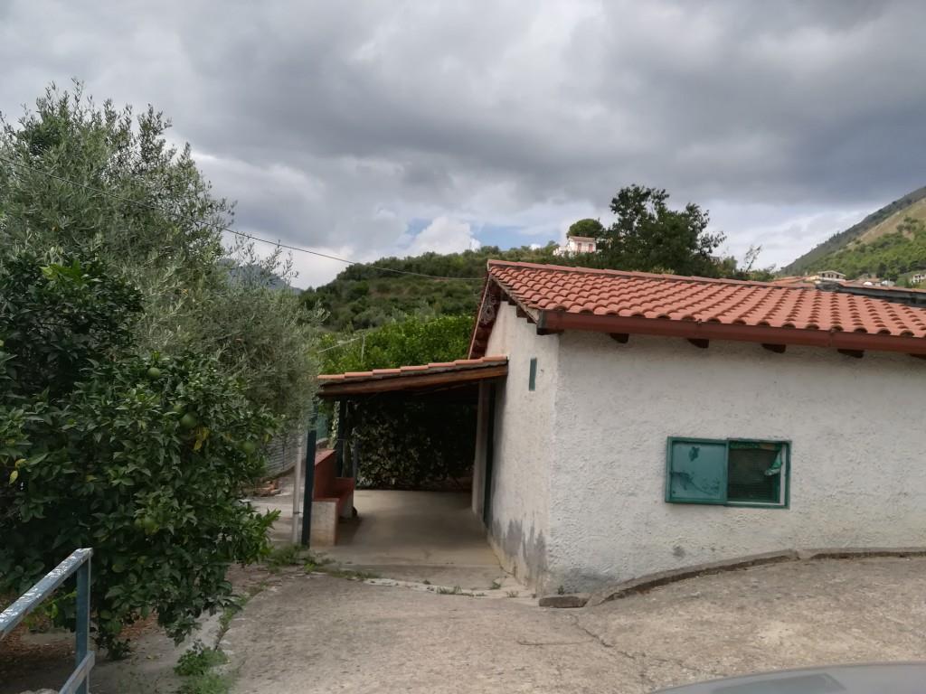 immagine annuncio 5 di 6