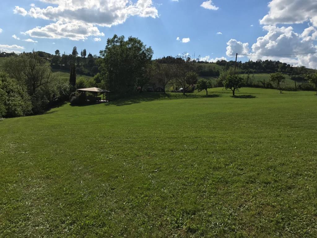 immagine annuncio 3 di 6