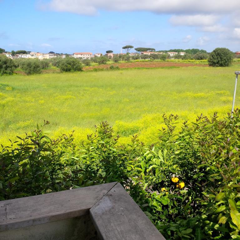 immagine annuncio 5 di 6