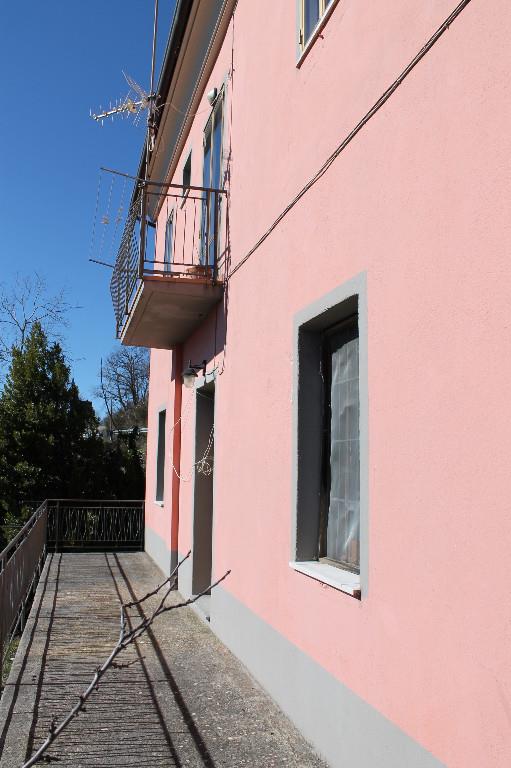 immagine annuncio 2 di 7