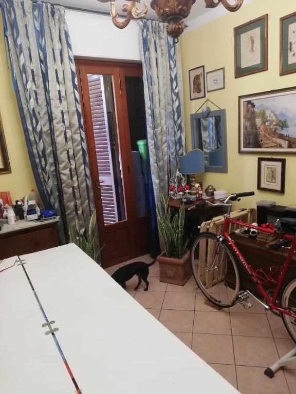 immagine annuncio 2 di 7