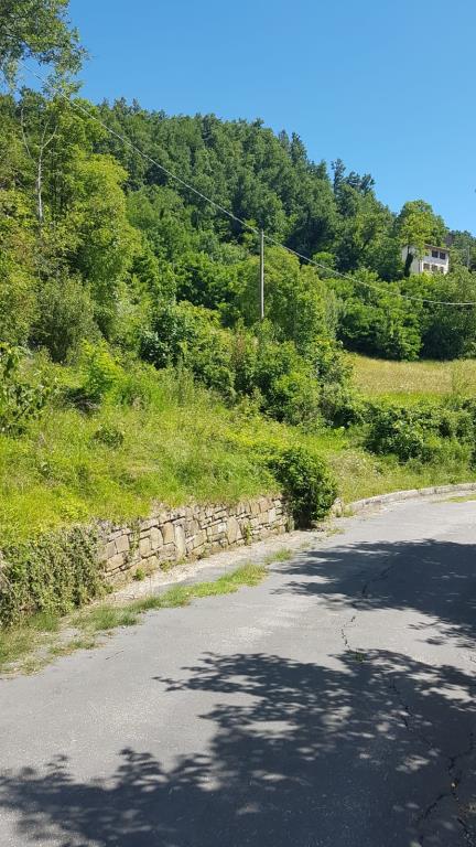 immagine annuncio 5 di 6