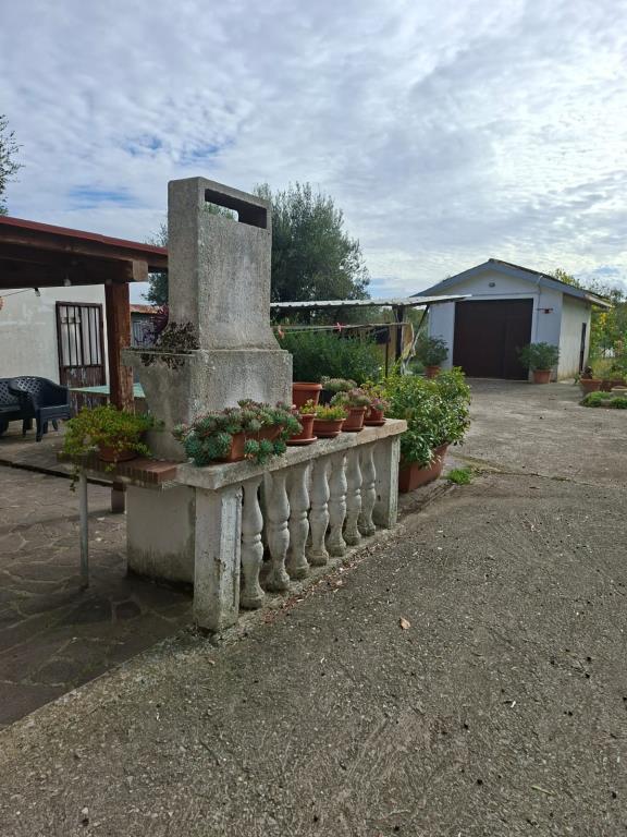 immagine annuncio 1 di 7