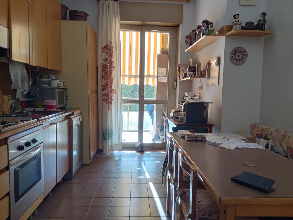 immagine annuncio 1 di 7