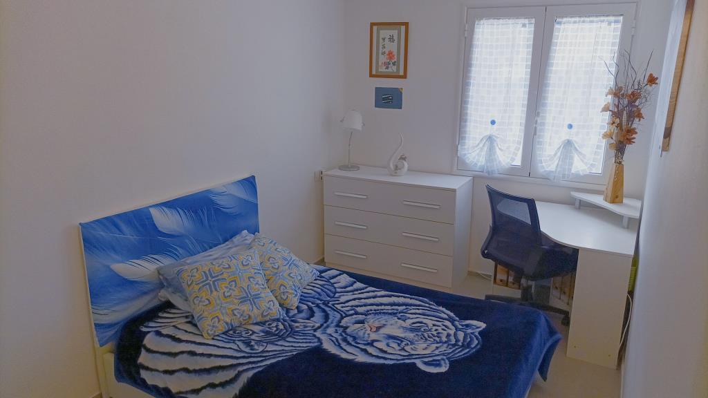 immagine annuncio 4 di 7