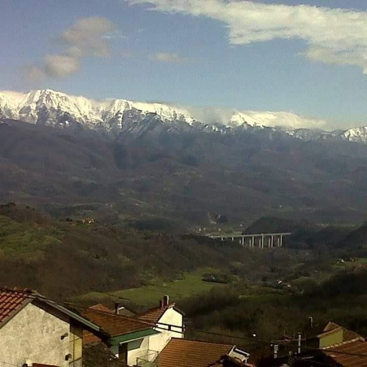 immagine annuncio 5 di 6