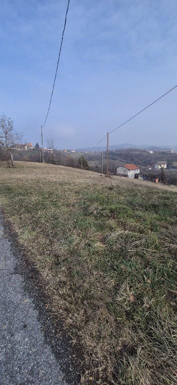 immagine annuncio 4 di 7
