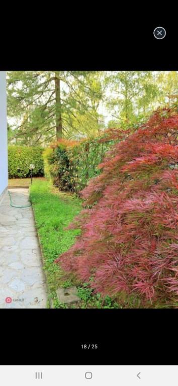 immagine annuncio 5 di 7