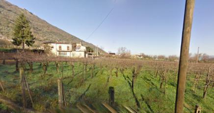 immagine annuncio 1 di 2