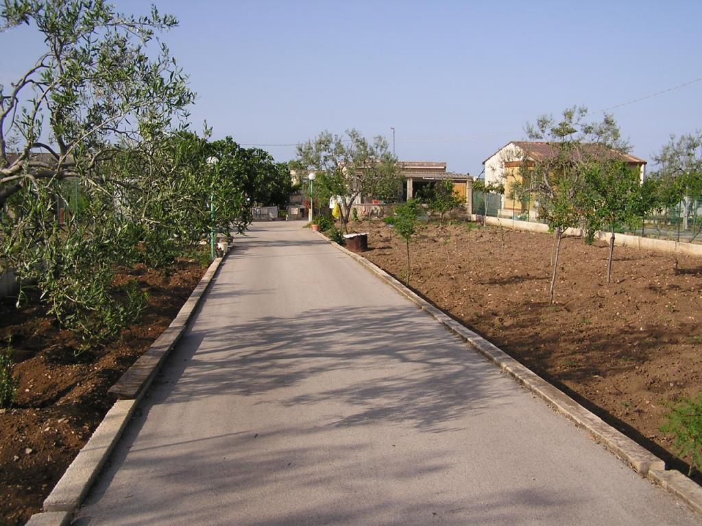 immagine annuncio 5 di 7