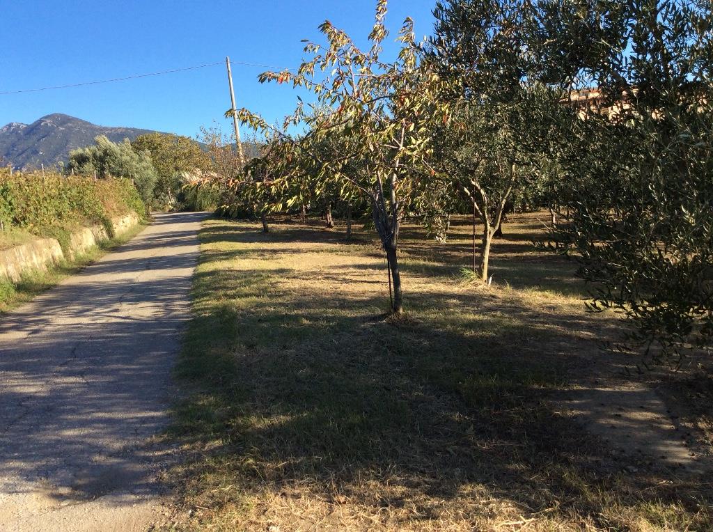 immagine annuncio 2 di 7