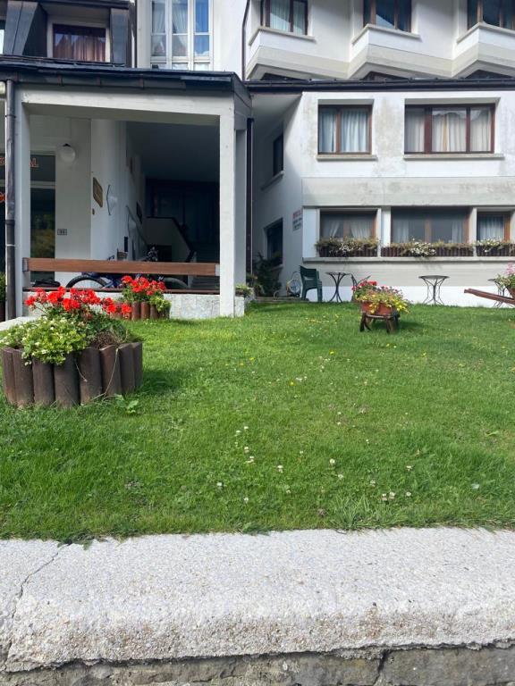 immagine annuncio 1 di 7