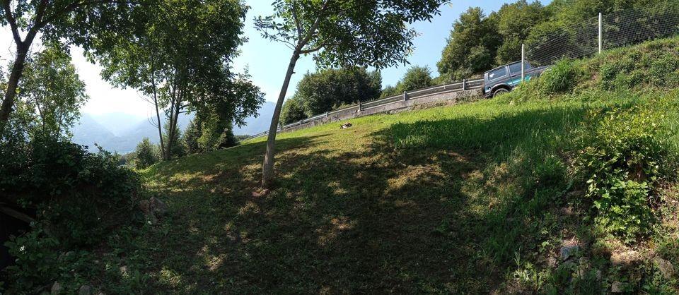 immagine annuncio 1 di 4