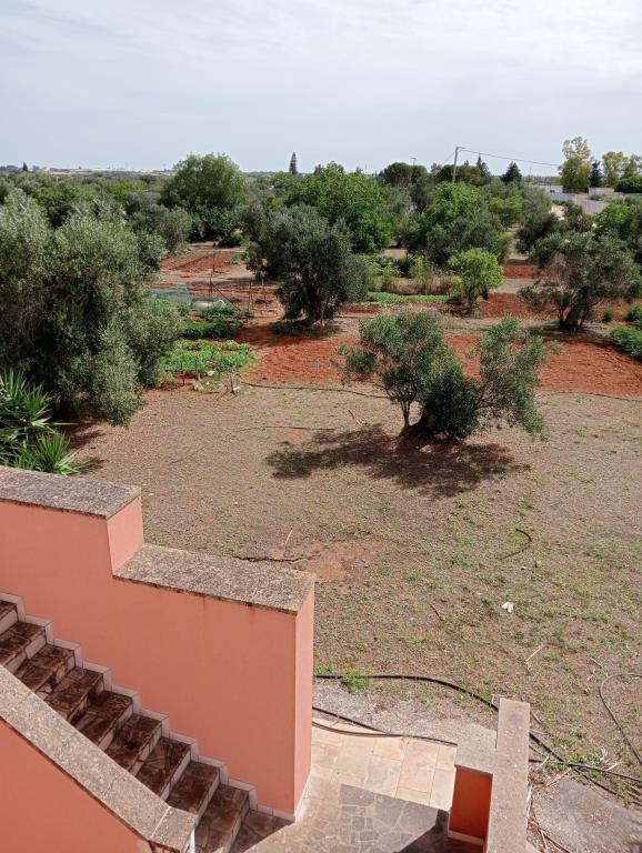 immagine annuncio 3 di 4