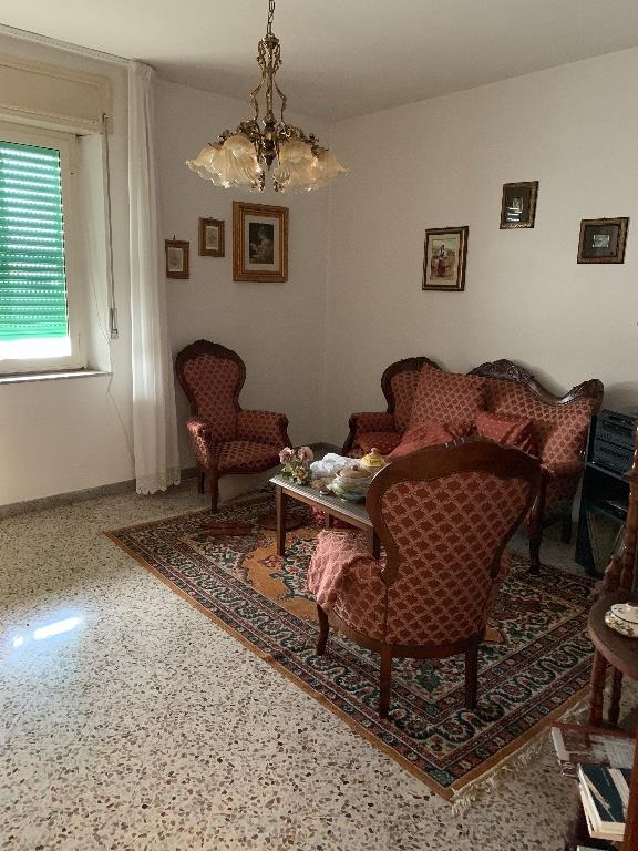 immagine annuncio 3 di 7