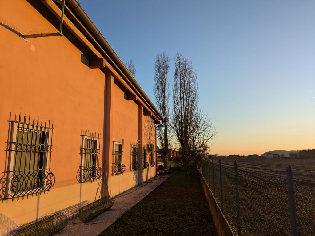 immagine annuncio 2 di 7