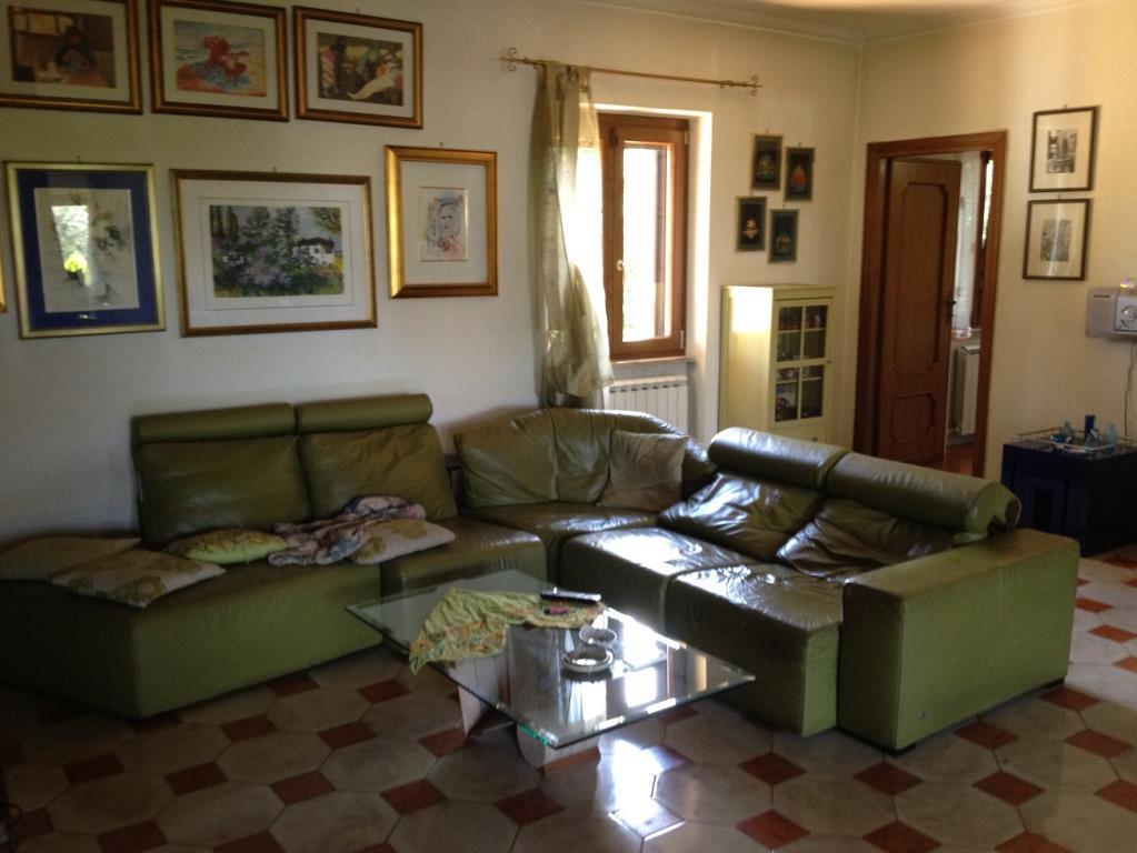 immagine annuncio 5 di 7