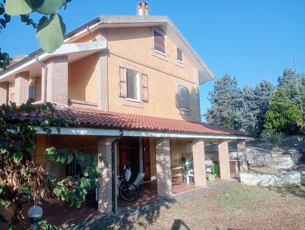 immagine annuncio 2 di 7