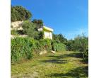 Foto - Casa indipendente in Vendita a Vieste (Foggia)